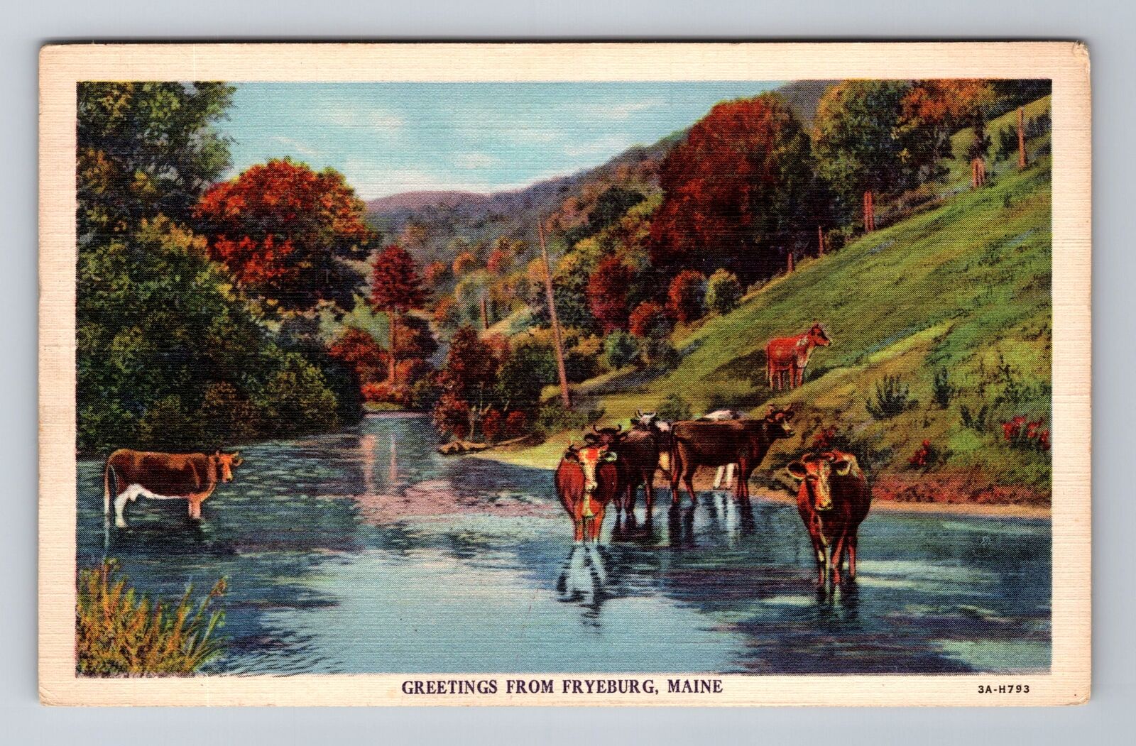 Fryeburg ME-Maine, General Greetings, Scenic Countryside, Vintage c1935 Postcard