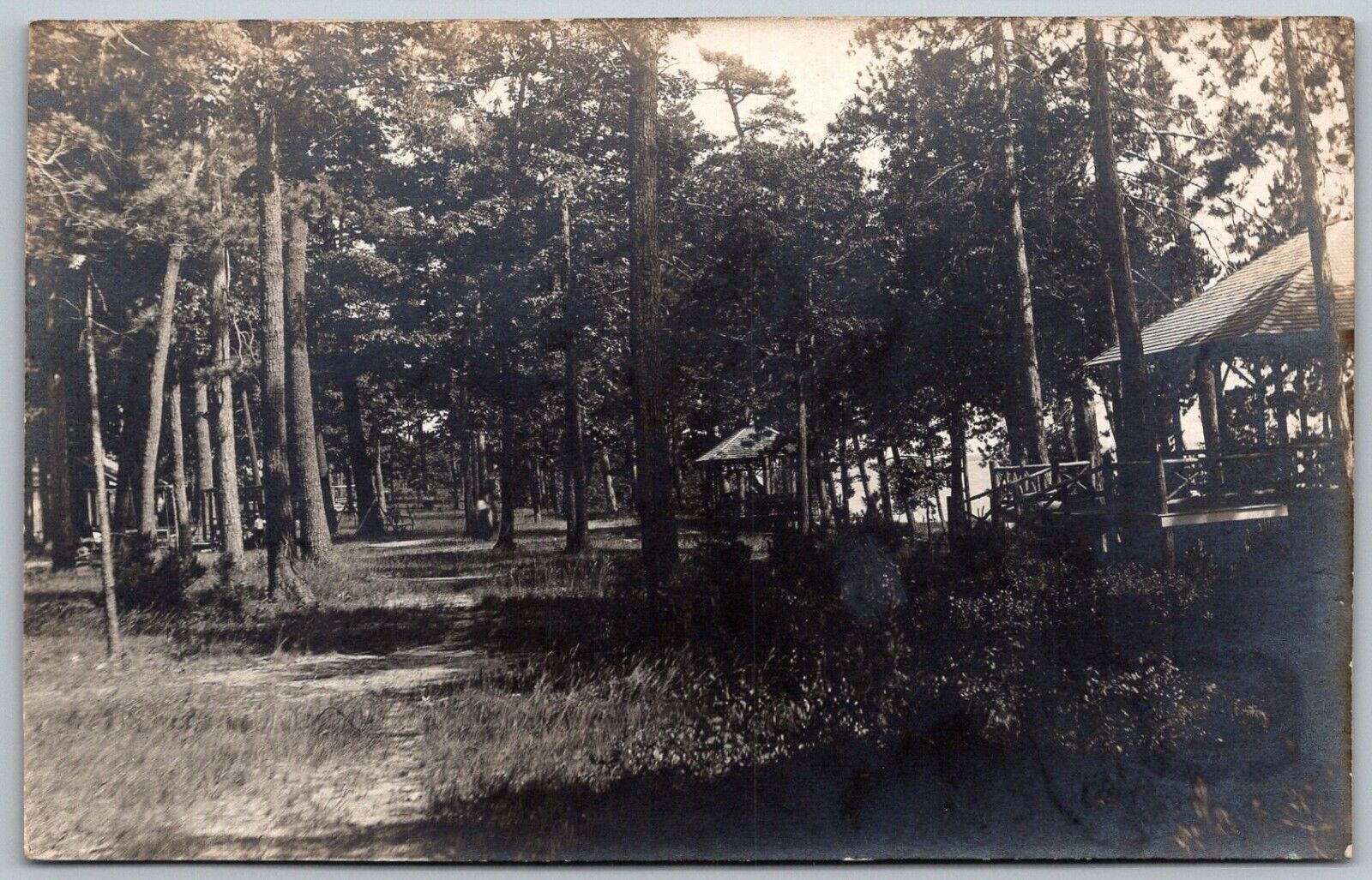 Higgins Lake Roscommon Michigan c1910 RPPC Real Photo Postcard Trees Path Cabins