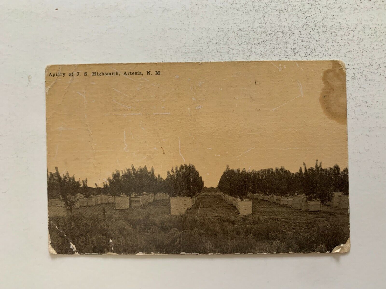 c.1910 Apiary of J.S. Highsmith Artesia New Mexico Postcard