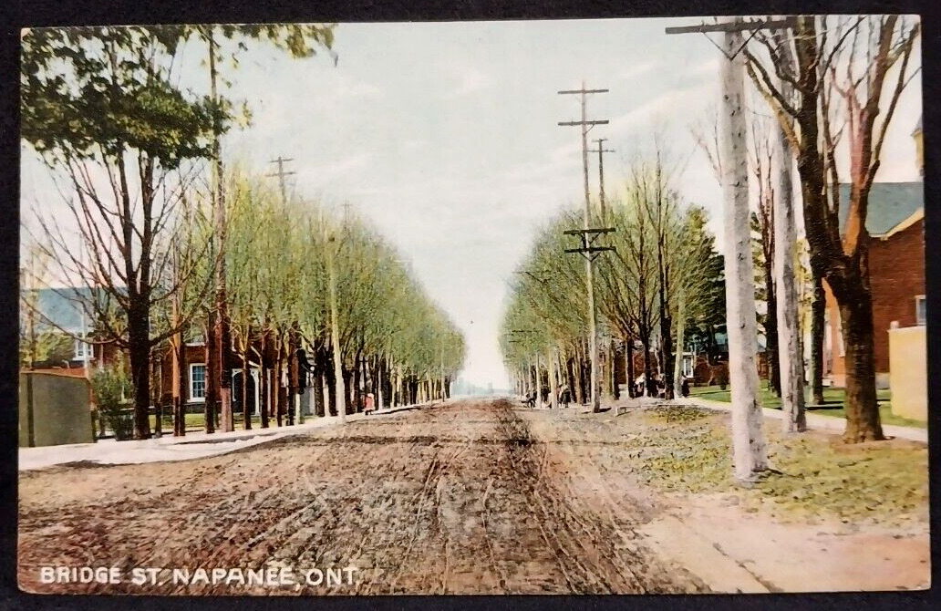 Postcard Canada Napanee Bridge Street Dirt Road ca 1910s