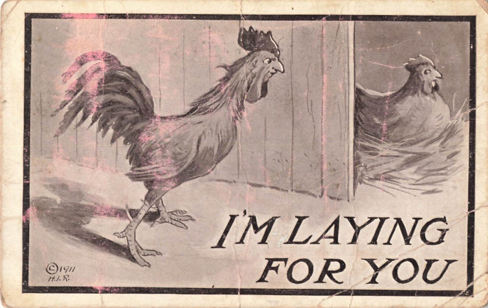 1912 Farm Barn Chicken Rooster Pregnant Hen Laying For You Postcard 5.5\