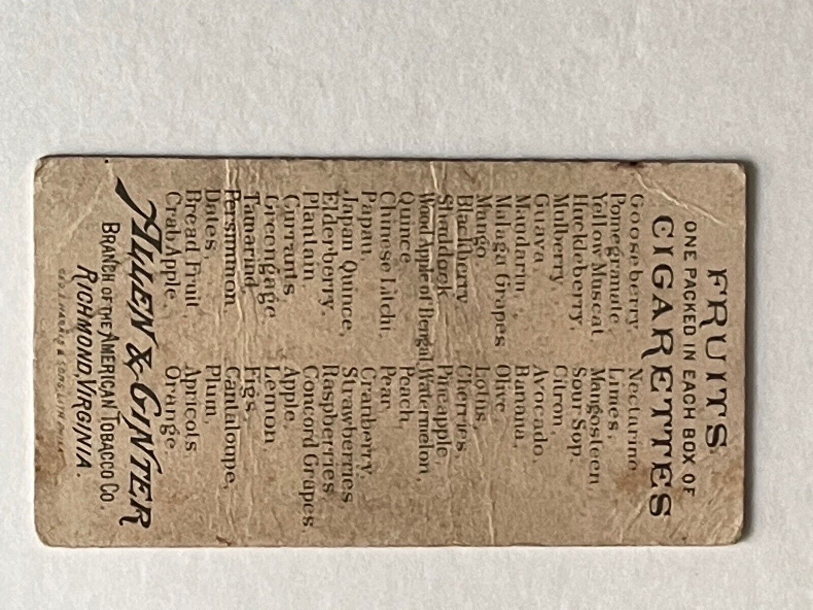 1891 N12 Allen & Ginter Fruits Tobacco cigarette card - Huckleberry