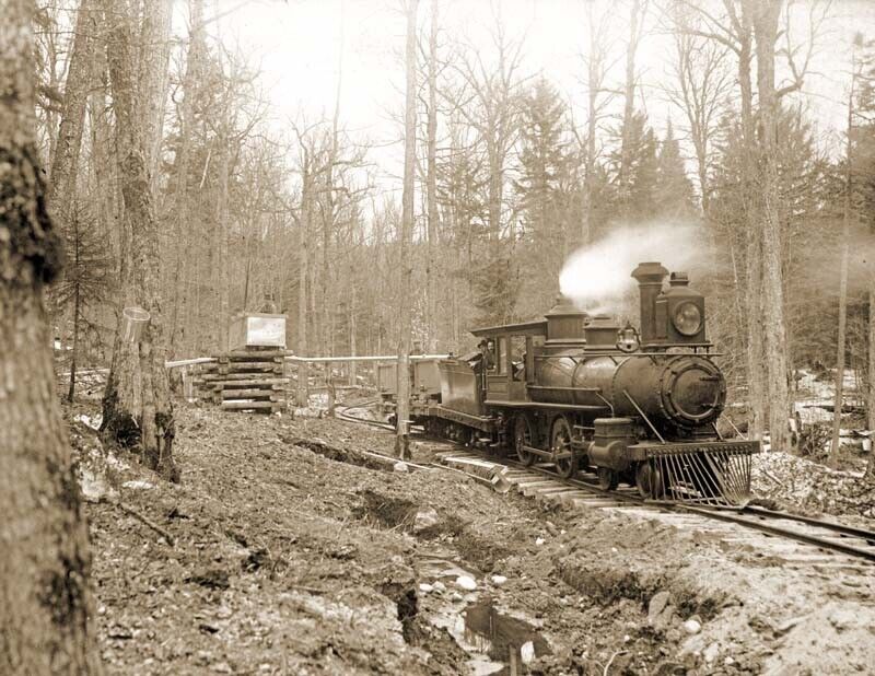 1901 Train Hauling Maple Sugar Sap, St. Lawrence NY Old Photo 8.5\