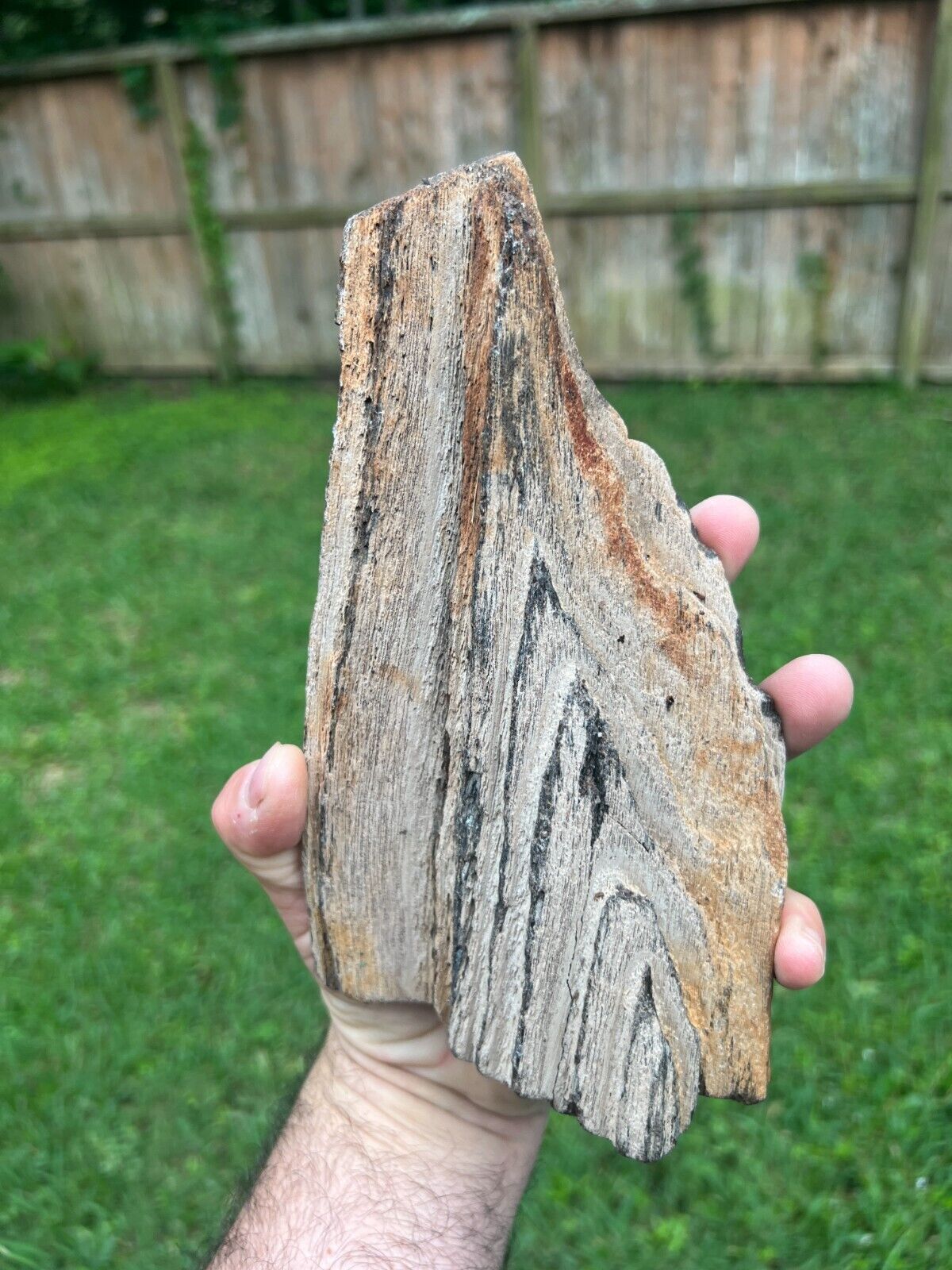 Texas Petrified Wood Unique Natural Worn Grain Pattern Tree Log Piece Fossil
