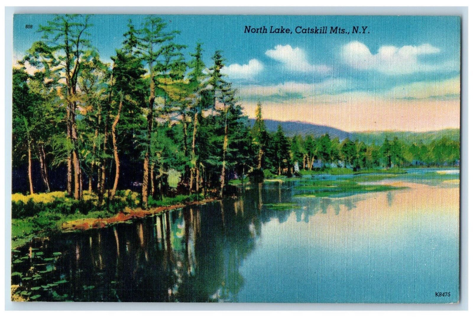 c1940\'s Water Scene at North Lake Catskill Mountains New York NY Postcard