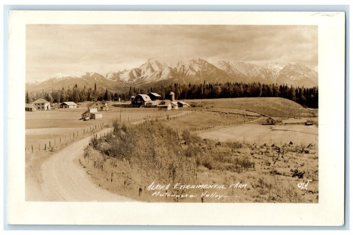 c1940's Experimental Farm Matanuska Valley Alaska AK RPPC Photo Postcard