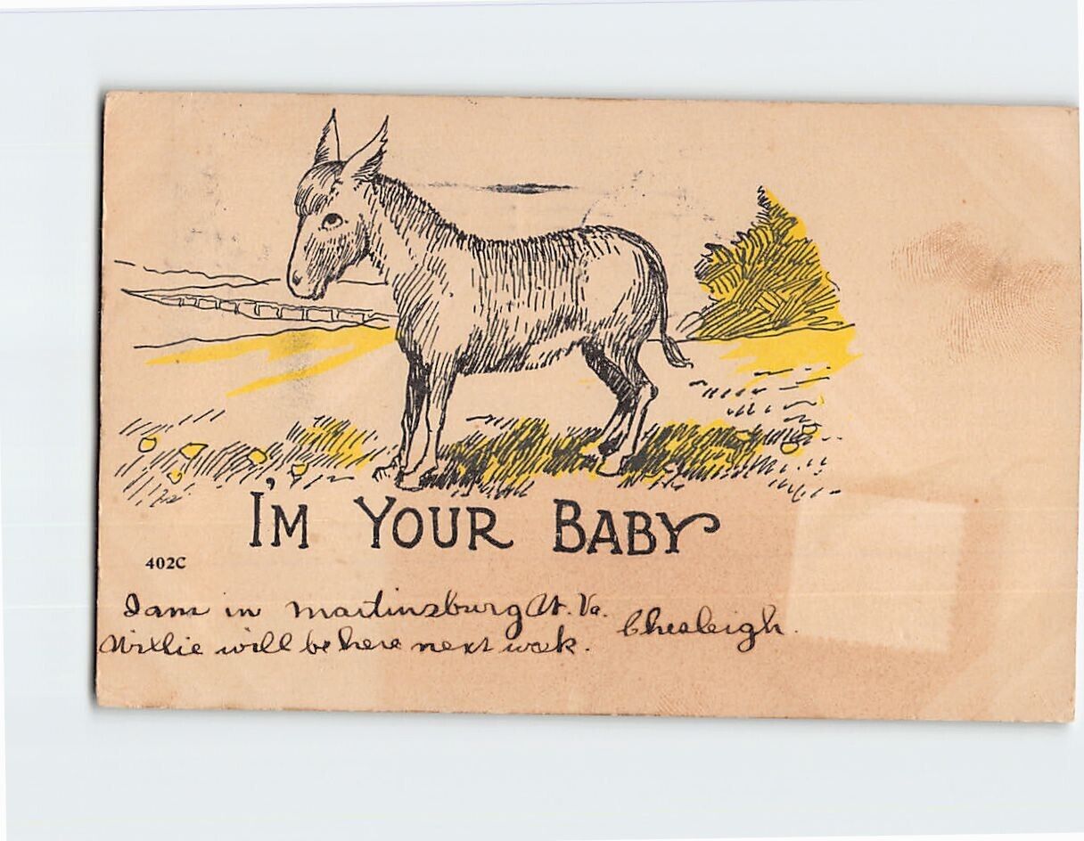 Postcard Im Your Baby with Donkey Comic Art Print