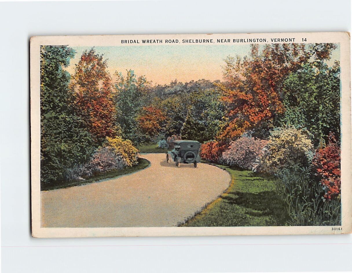 Postcard Bridal Wreath Road, Shelburne, Vermont