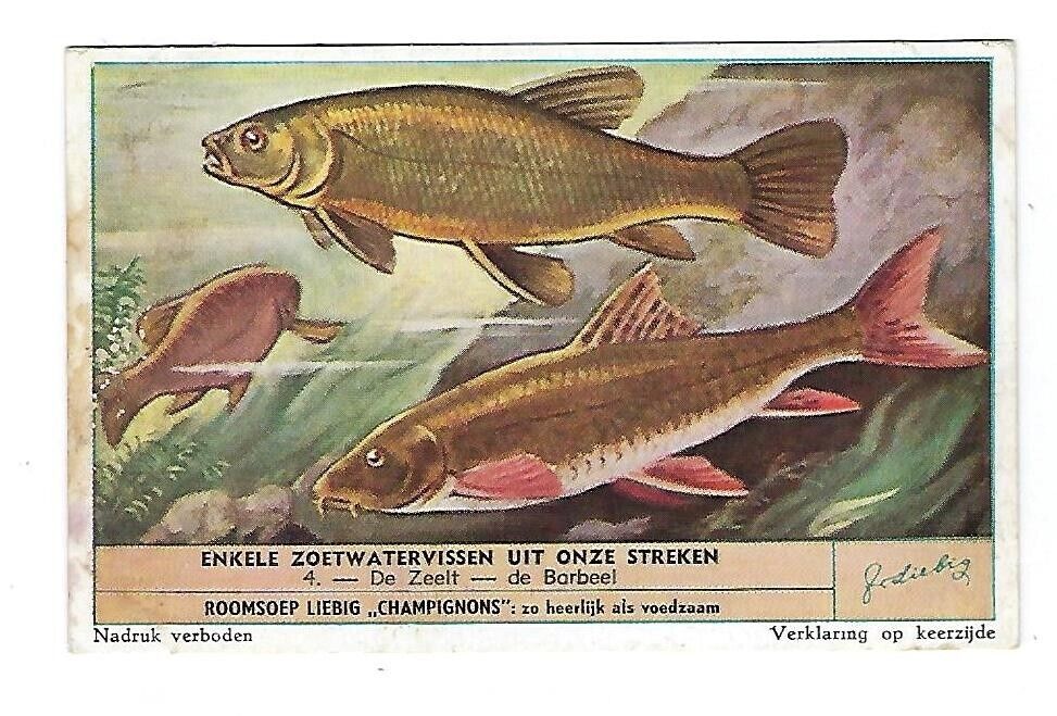 c1888 Victorian Trade Card Liebig, Dutch Cream Soap Mushrooms