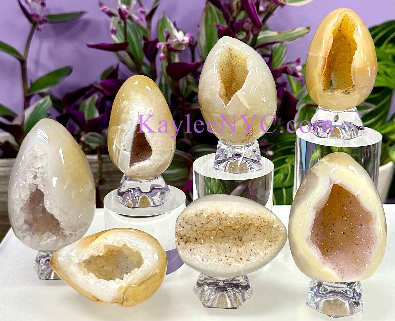 Wholesale Lot 7-8 Pcs Natural Druzy Agate Egg Crystal Healing Energy