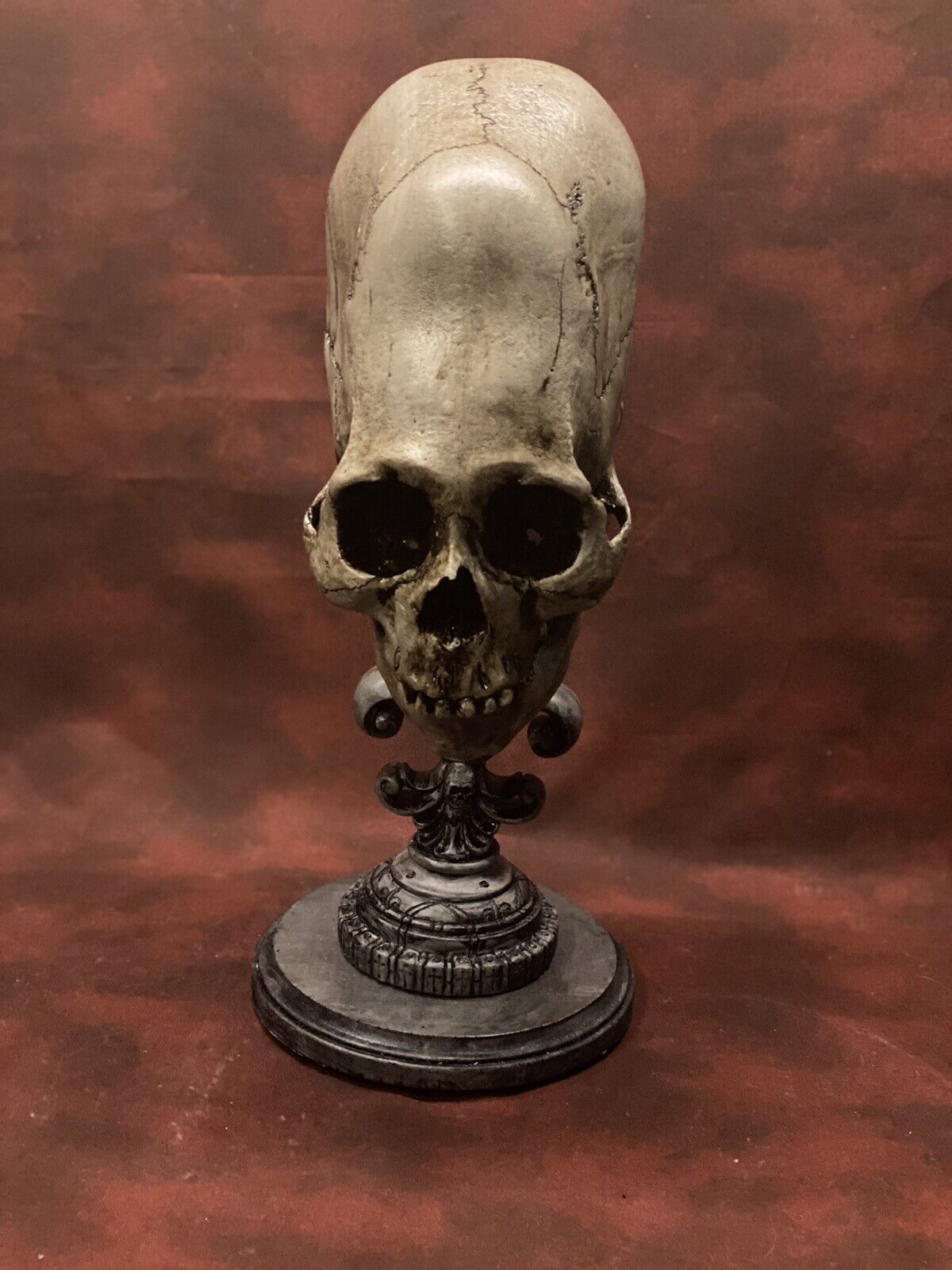 COMBO Peruvian Elongated Real Human skull RESIN REPLICA & STAND Zane Wylie Skull