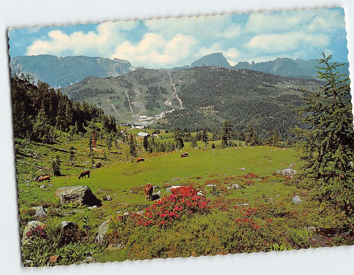 Postcard Beautiful Carinthia Austria