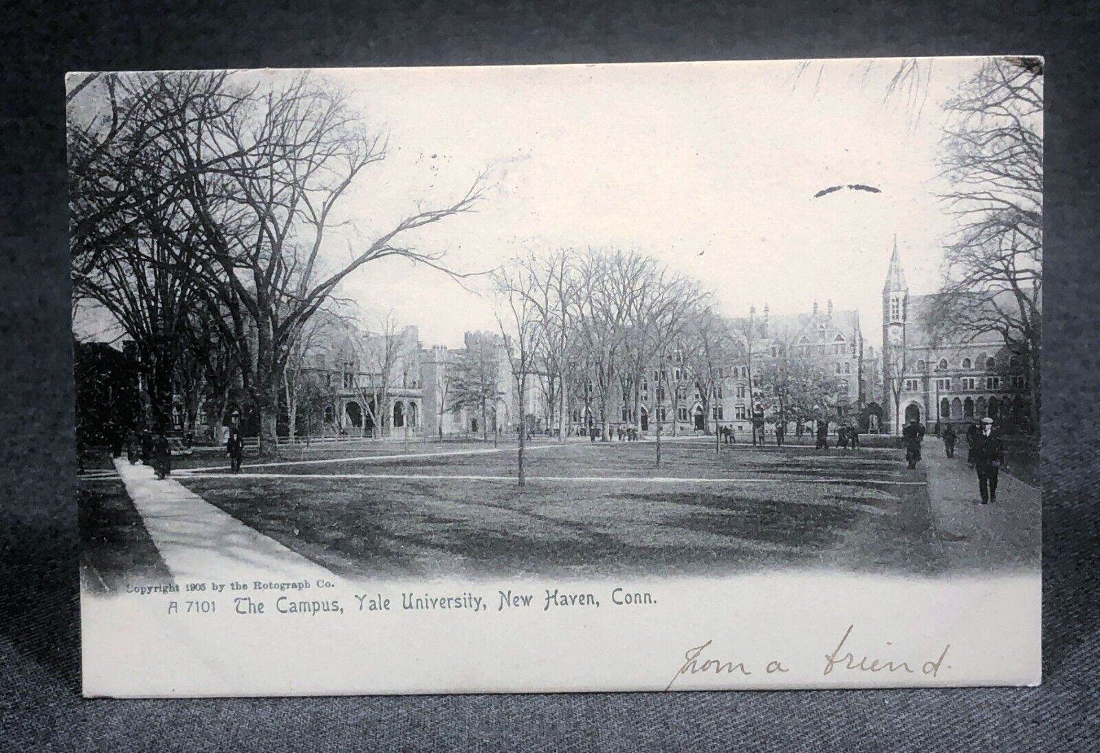 1905 The Campus Yale University New Haven CT Antique Postcard PC View Rotograph