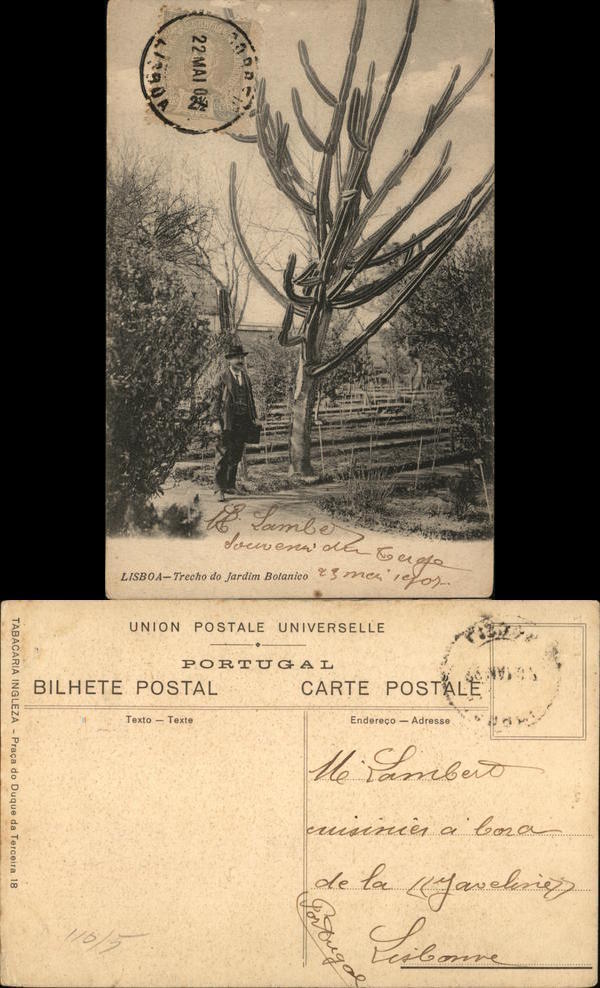 Portugal 1897 Lisbon Lisboa-Trecho do Jardim Botanico Philatelic COF Postcard