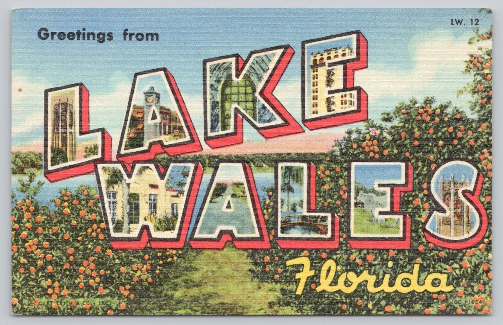 Postcard Greetings from Lake Wales FL large letter Curt Teich Linen