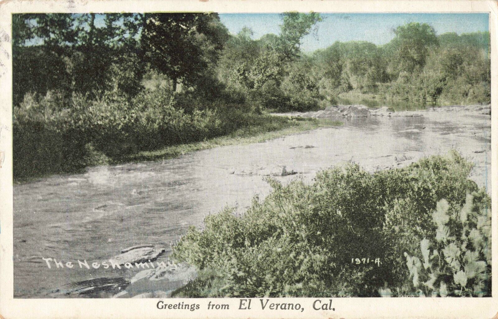 The Neshaminy River Creek El Verano California CA c1920 Postcard