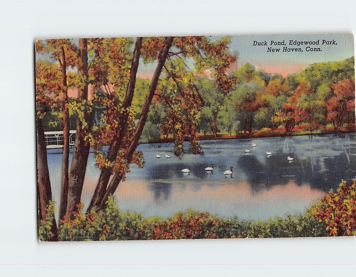 Postcard Duck Pond Edgewood Park New Haven Connecticut USA