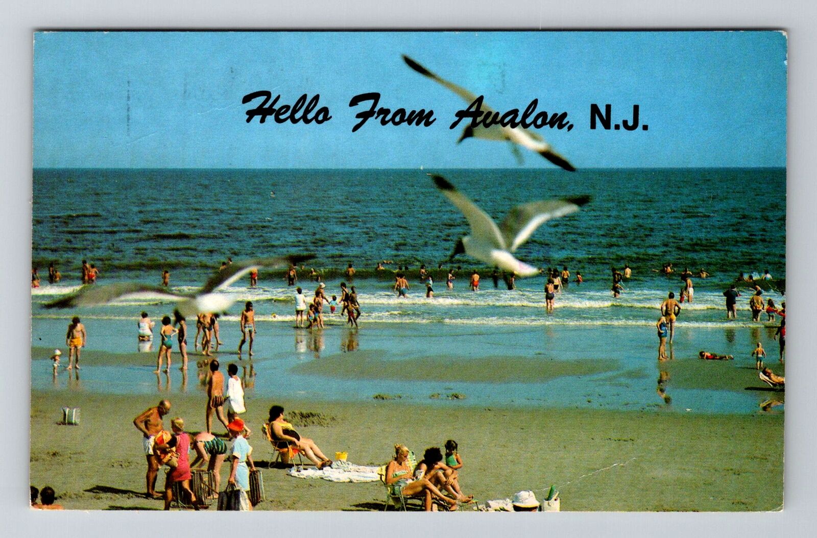Avalon NJ-New Jersey, Beach and Sun Bathing on the Ocean, Vintage Postcard