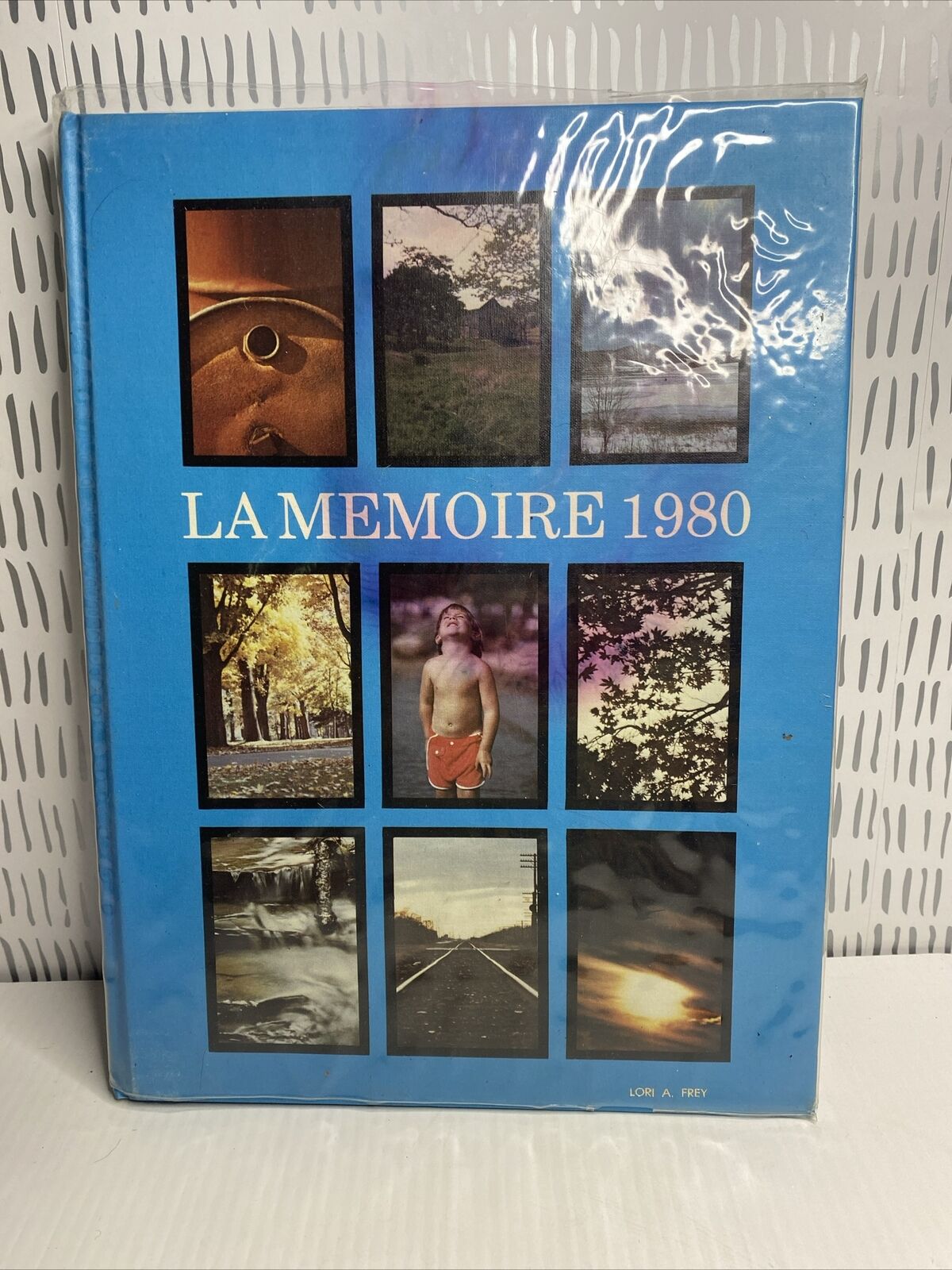 1980 La Memoire Williamsport Area High School Pennsylvania Yearbook