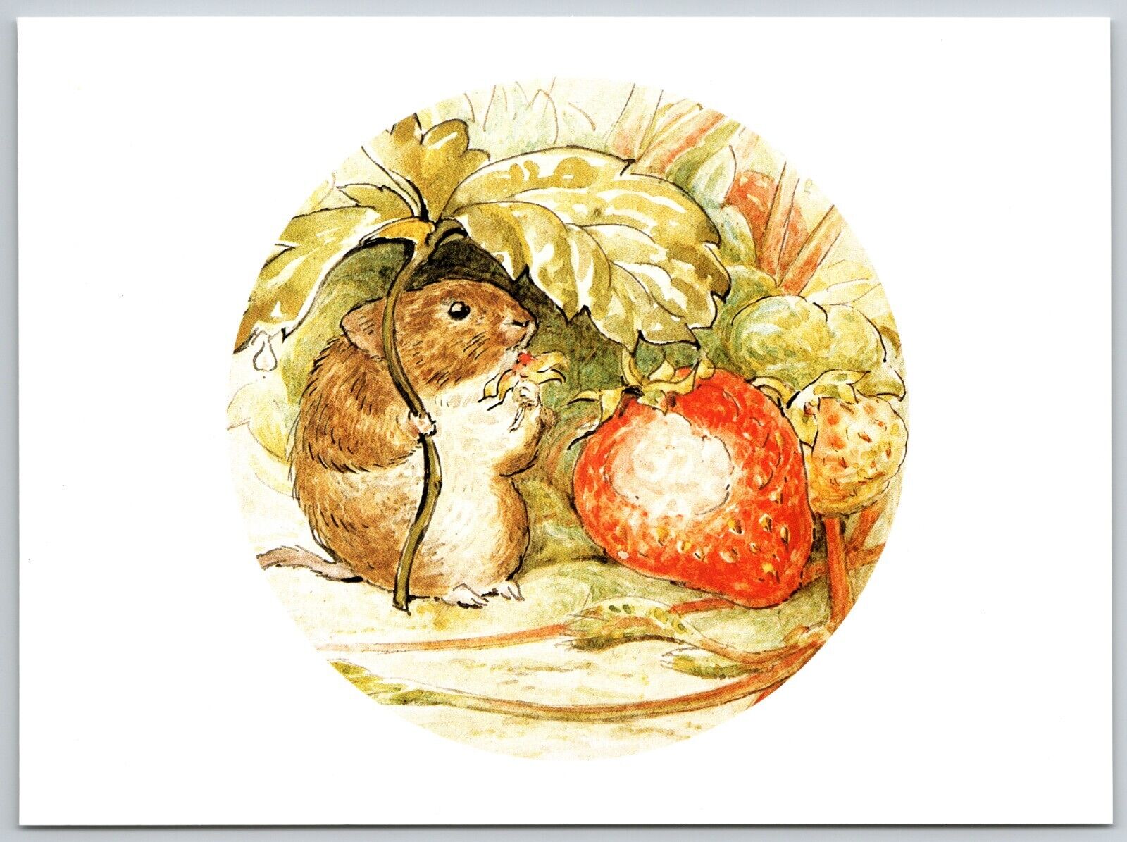 From Johnny Town-Mouse from Beatrix Potter Watercolor (4.7X6.5 in) Postcard