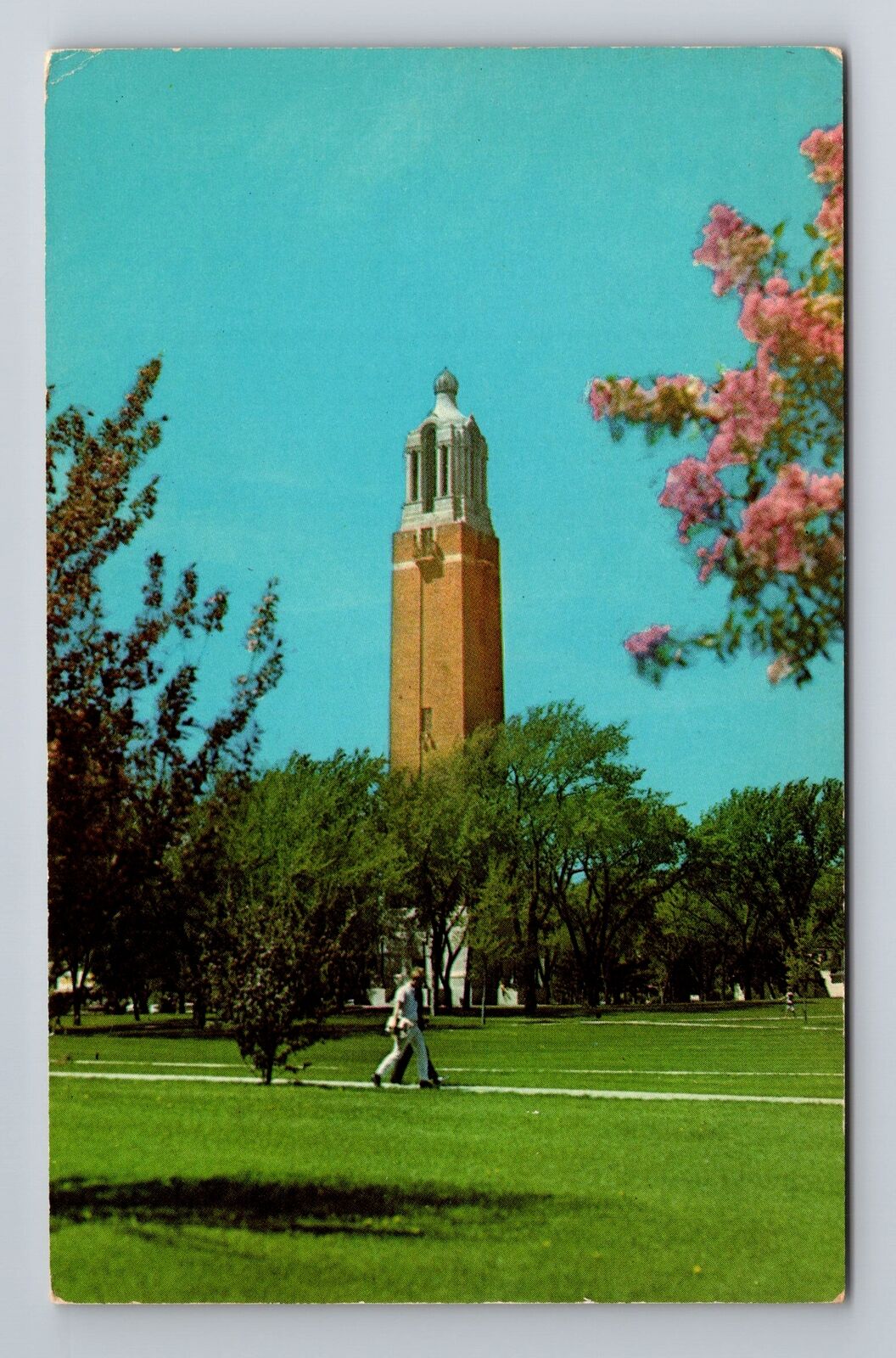 Brookings SD-South Dakota, South Dakota State University, Vintage Postcard