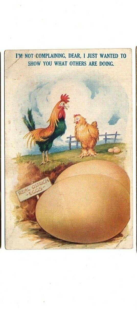 ca1910 Comic Postcard- Rooster Showing Hen Ostrich Eggs. \