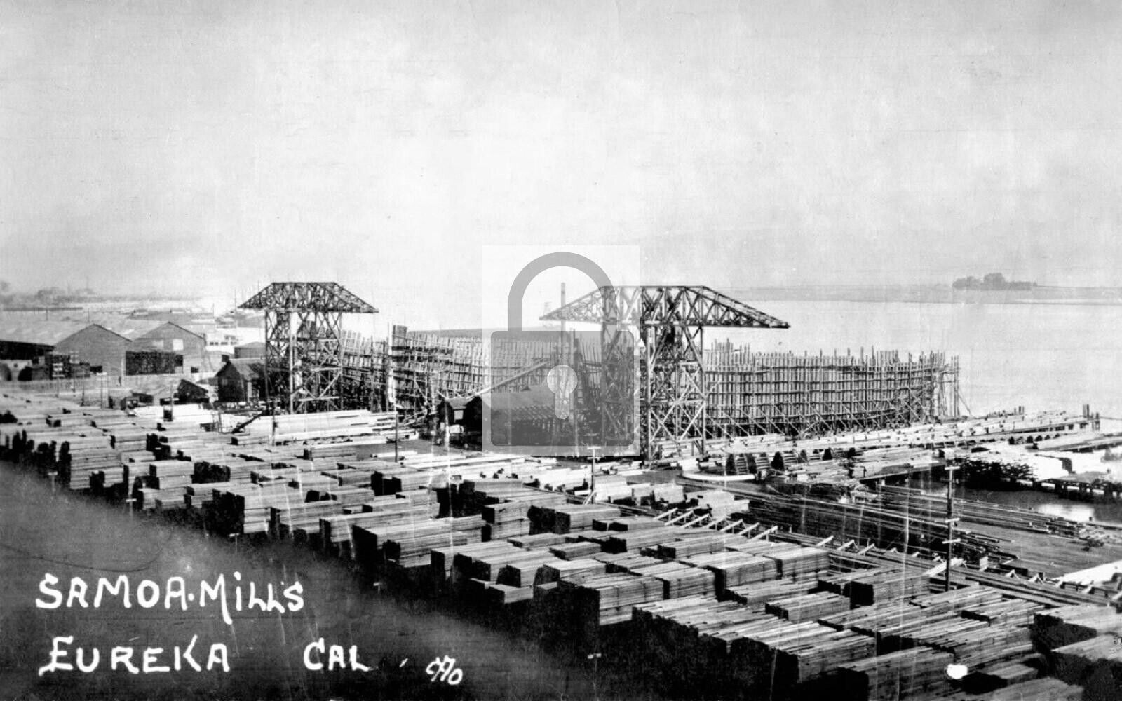 Samoa Lumber Mill Ship Yard Eureka California CA Reprint Postcard
