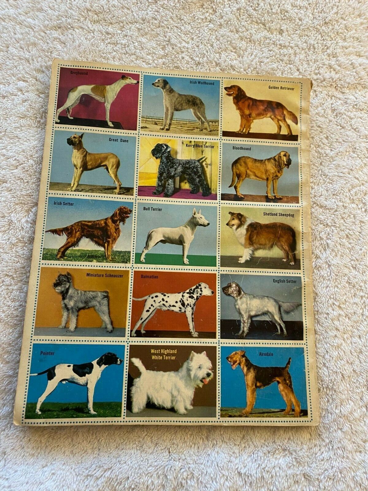 The Golden Play Book of Dog Stamps, 1953 - 60 Most Popular Breeds 48pp to Color
