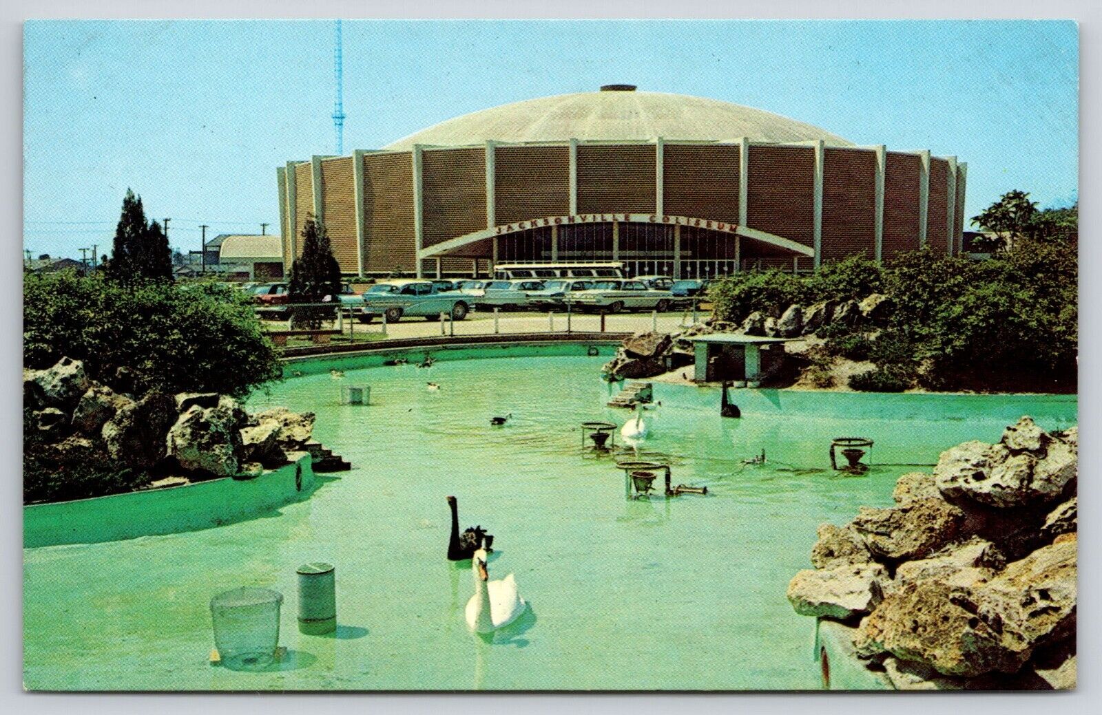 Jacksonville Coliseum Florida Postcard Old Cars Swans Ducks Fountain Pool