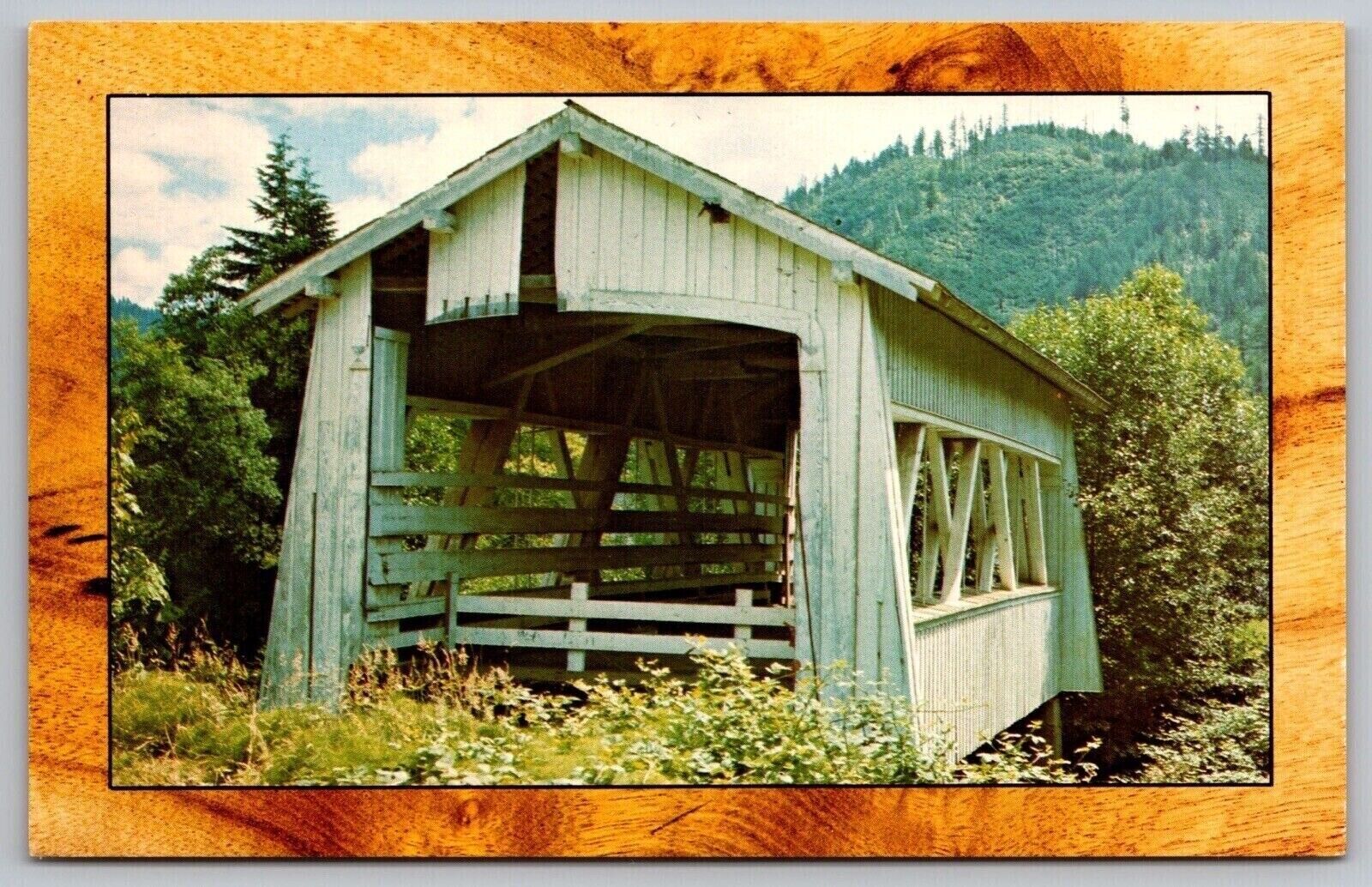 Oregon Covered Bridge Myrtle Trees Forest Mountain Country Road Vintage Postcard