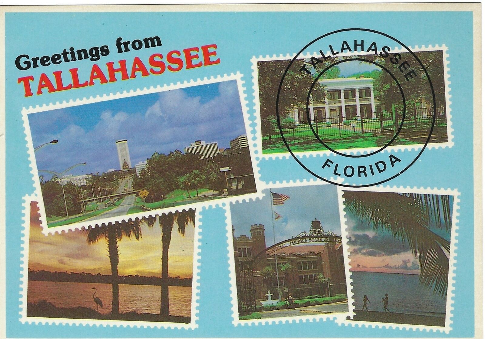 Greetings from Tallahassee, Chrome Postcard