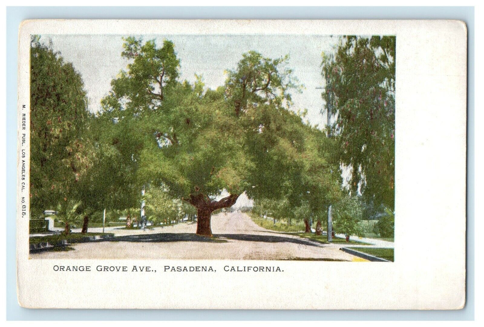 c1905 Orange Grove Pasadena California CA Unposted Antique Postcard