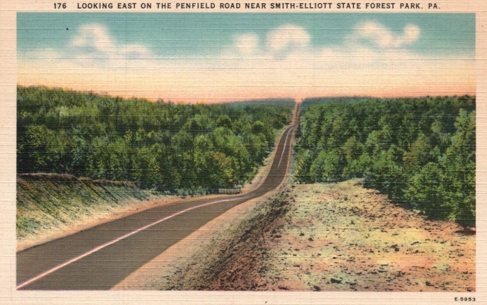 Postcard PA Penfield Road near Smith Elliott State Forest Park Vintage PC J4703