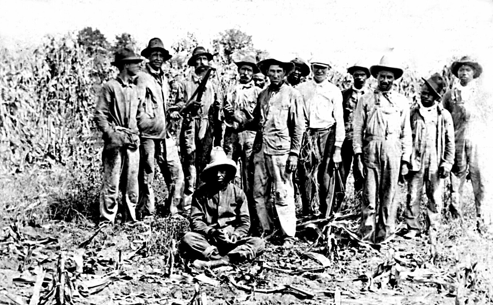 Postcard Black Americana Men Working Sugar Cane Real Photo Reprint #77522