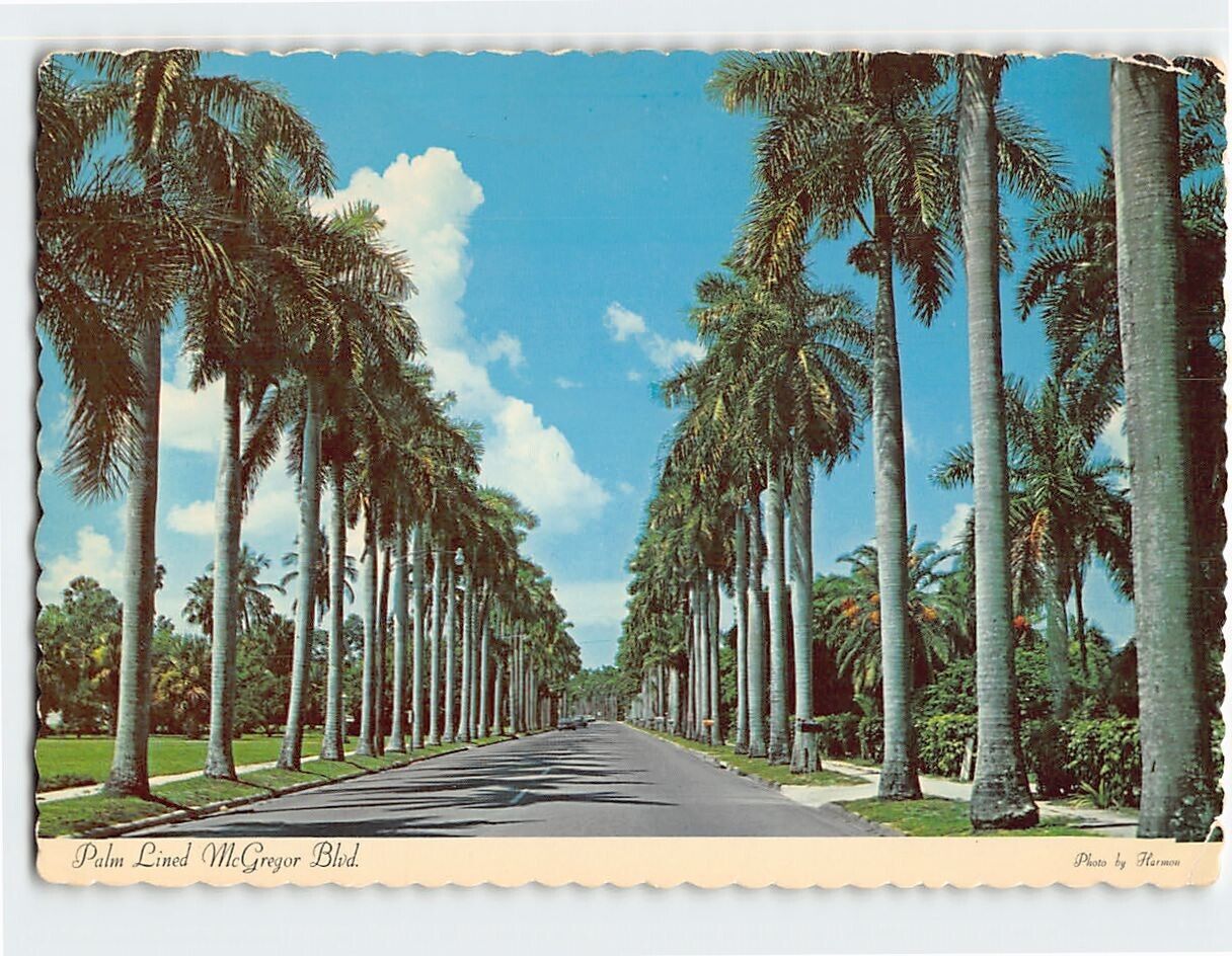 Postcard Royal Palms Line McGregor Boulevard in Fort Myers Florida USA