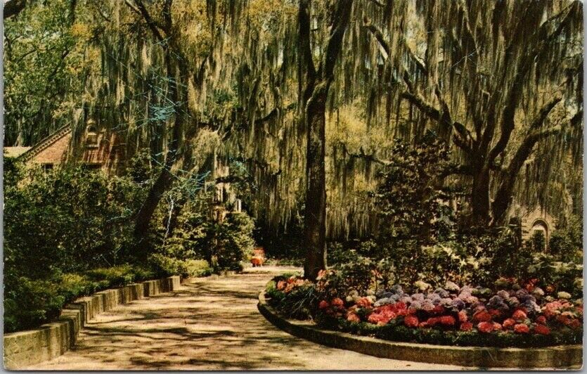 1962 FLORIDA Postcard 