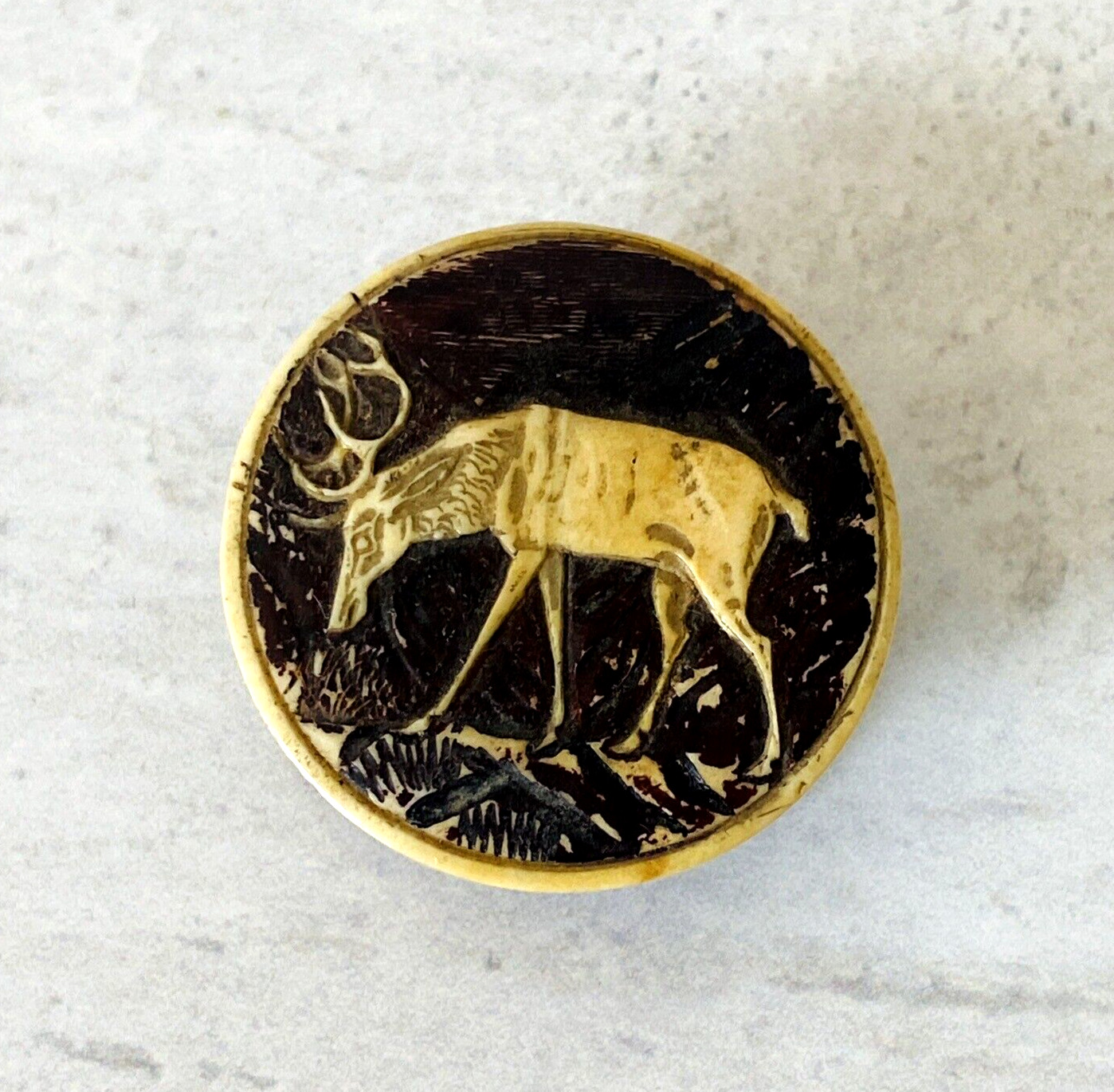 Antique Victorian Stag Horn Pill Or Snuff Box