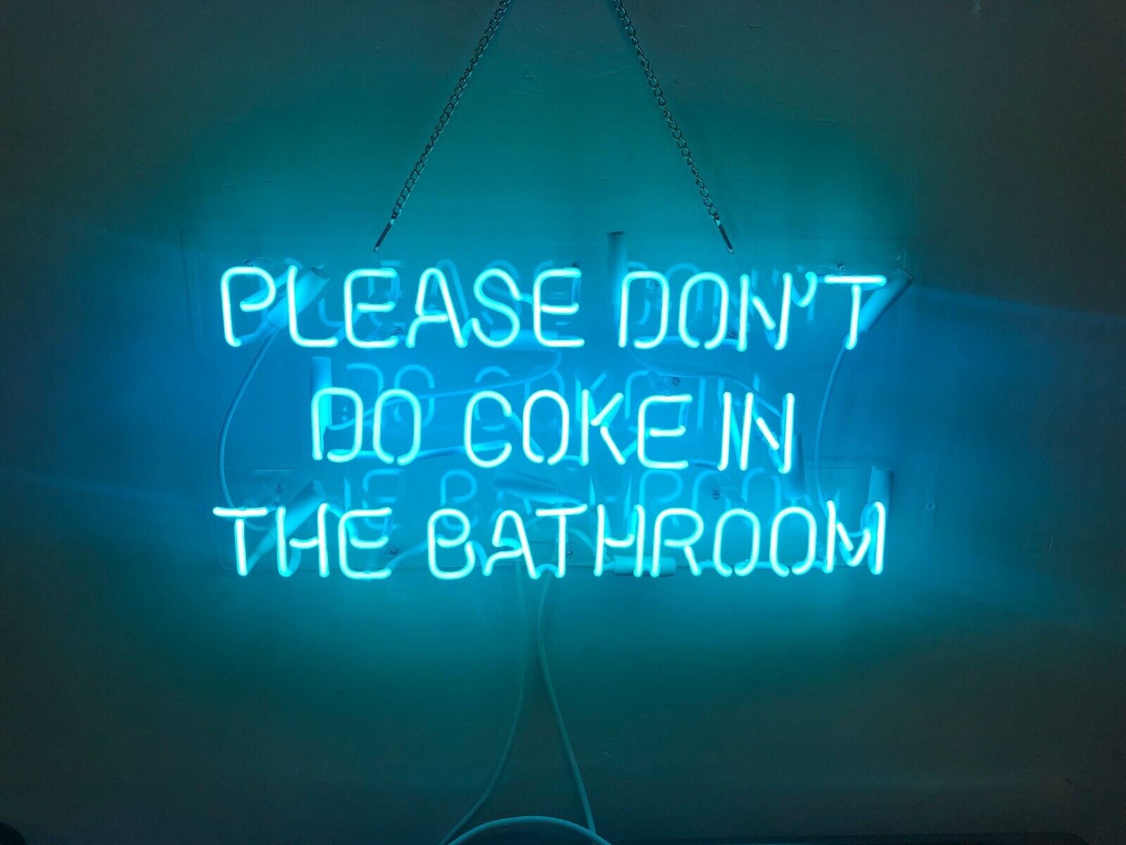 Please Don\'t Do Coke In The Bathroom Aqua Neon Sign 19\