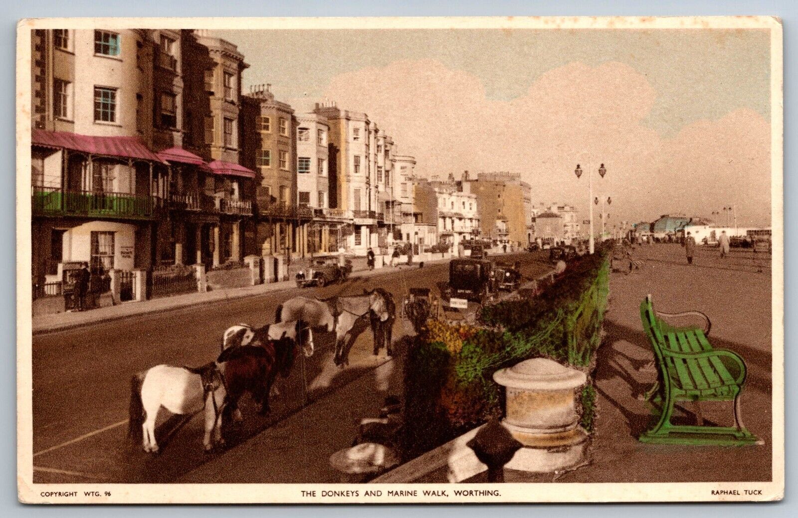 Donkeys & Marine Walk Worthing w/ antique cars Tuck Postcard