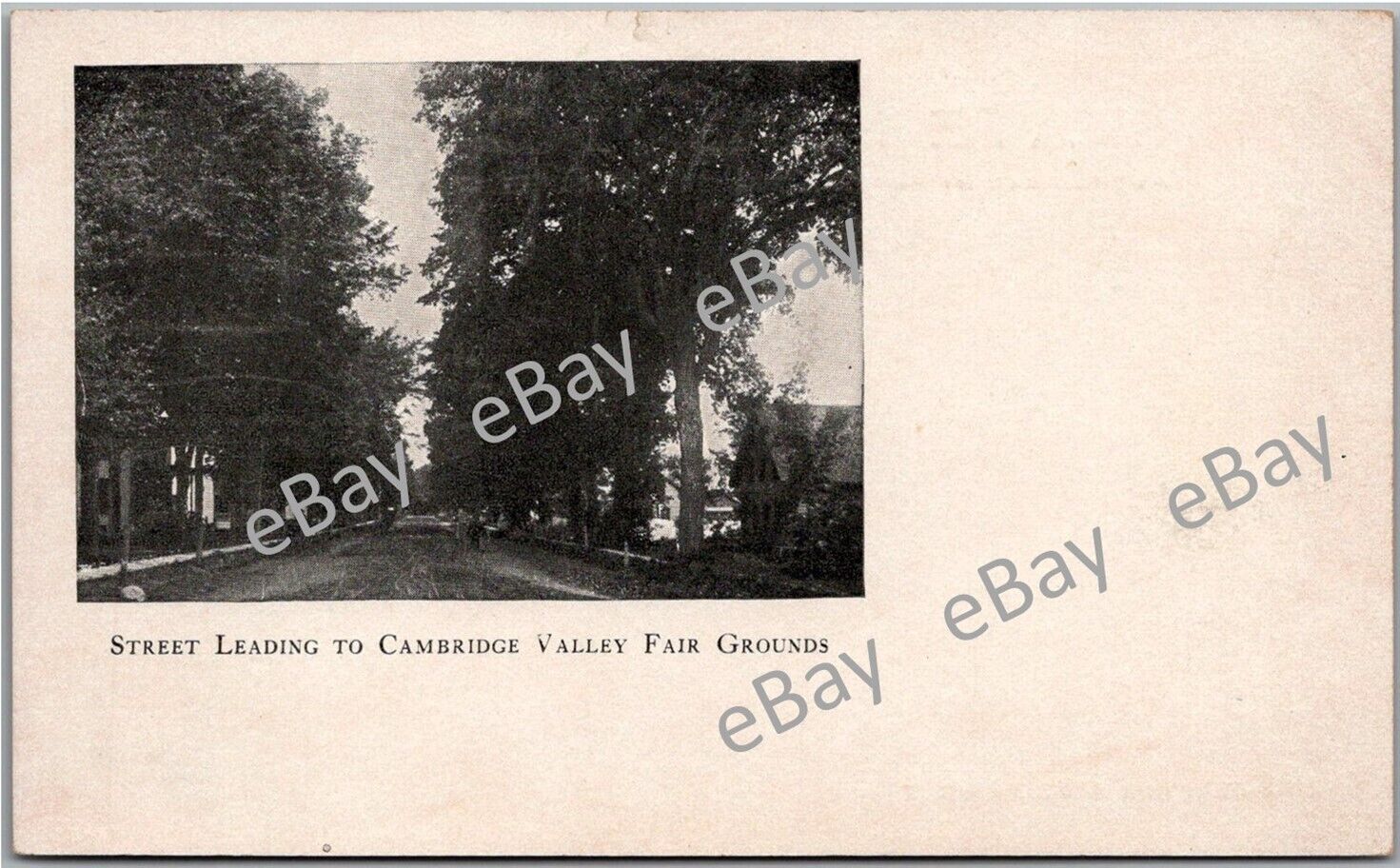 Postcard Street Leading to Cambridge Valley Fair Grounds; Cambridge, New York Fn