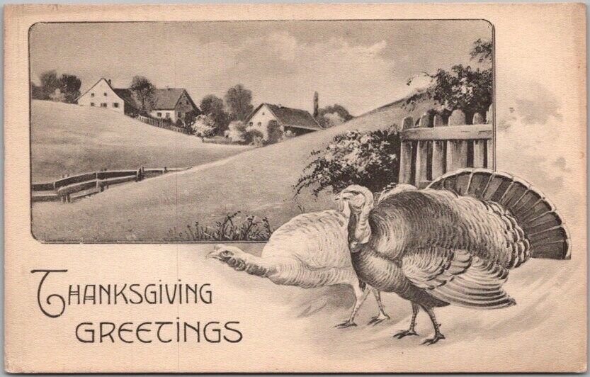 Vintage 1910s THANKSGIVING Postcard Turkeys Farm Rolling Hills GOTTSCHALK 2686/7