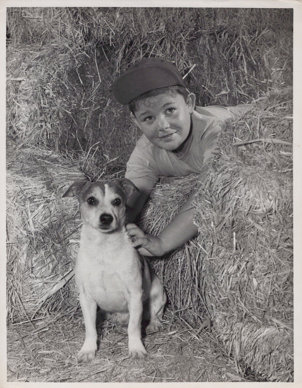 Unknow Little Actor  In Lassie(1950s) ⭐ Original Vintage Photo K 282