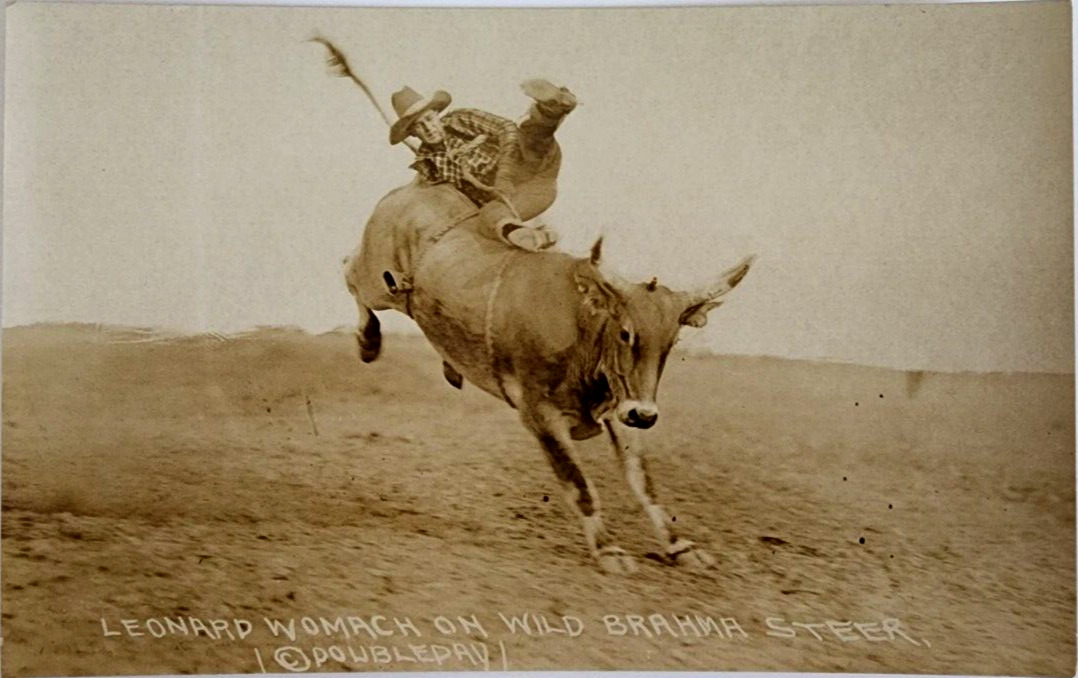 Rodeo Scene Leonard Womach on Wild Brahma Steer Doubleday Photo 1920s
