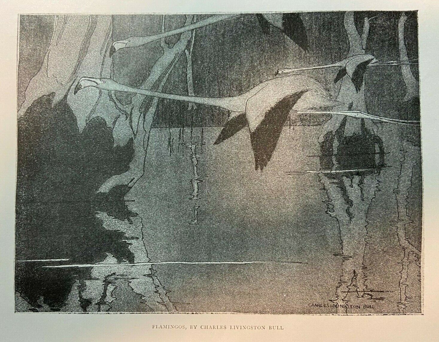 1917 Charles Livingston Bull Illustrations Birds in Flight Peacock Flamingo Duck