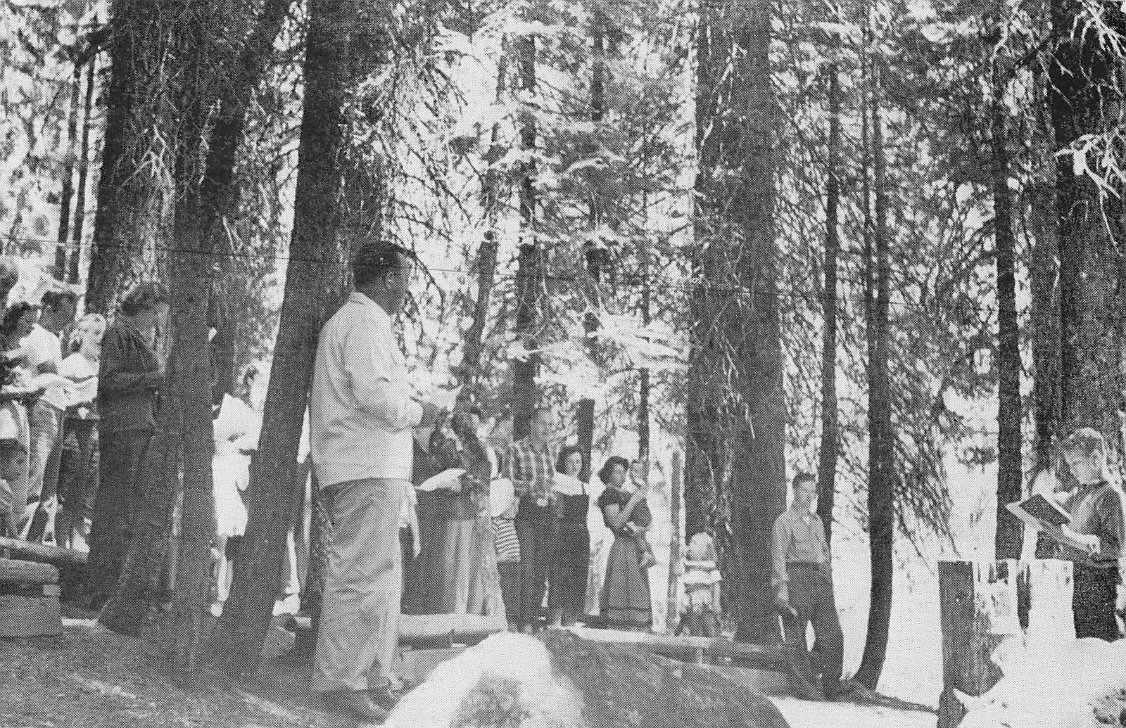1951 BEARS\' LAIR Postcard Cult PINECREST Golden CA Alumni Association Ritual 