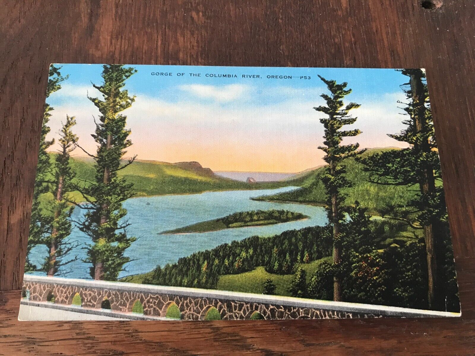 Gorge of the Columbia River Oregon Postcard