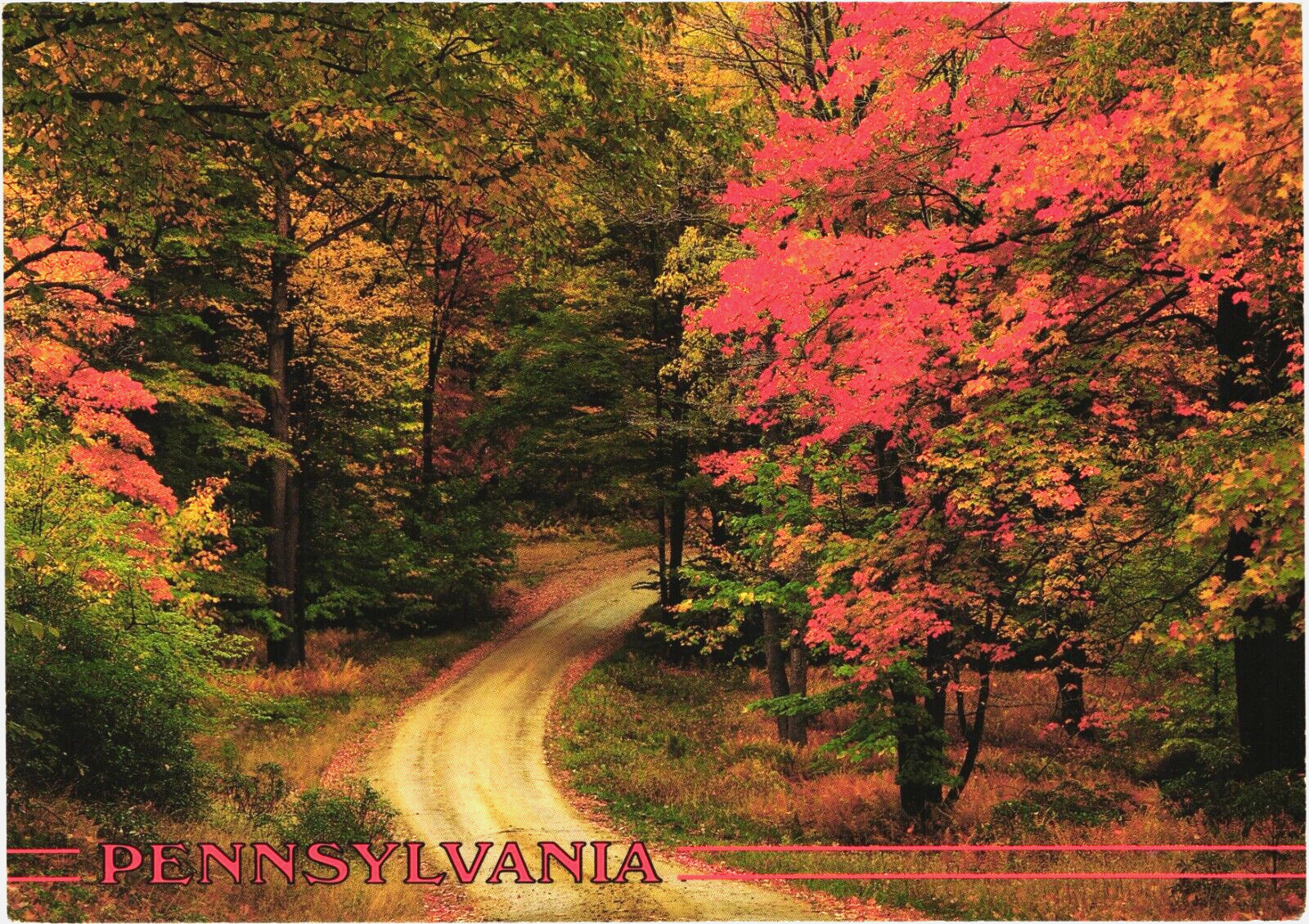 Postcard:  Allegheny Mountain Road --- Pennsylvania - USA
