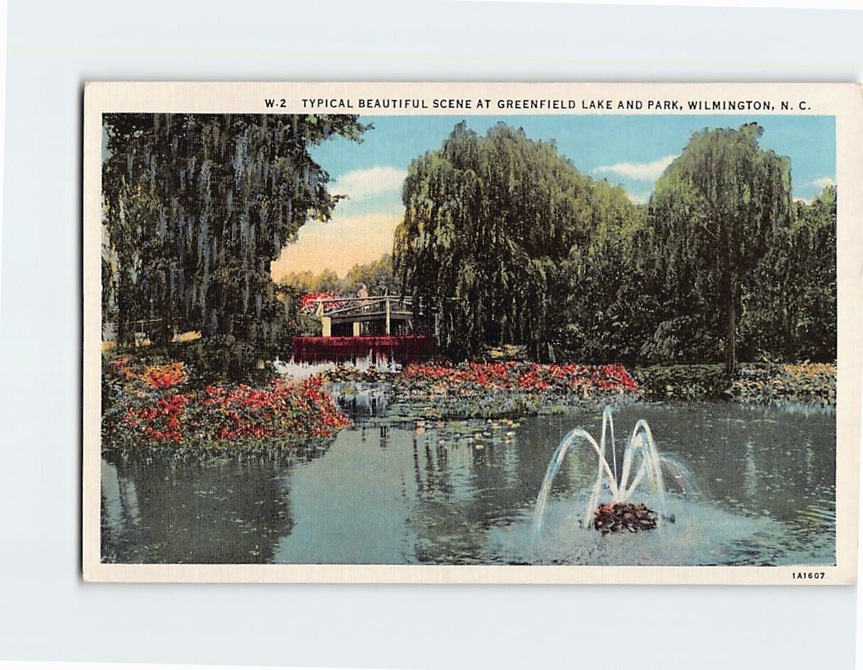 Postcard Beautiful Scene Greenfield Lake & Park Wilmington North Carolina USA