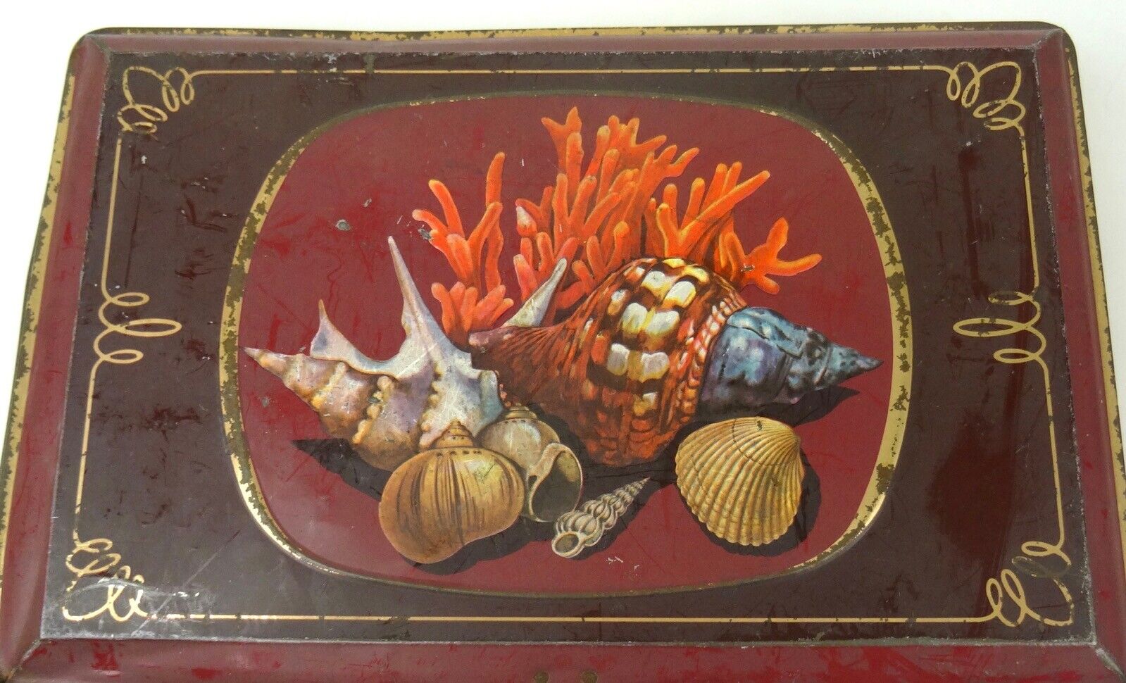 BEAUTIFUL RARE ART NOUVEAU ANTIQUE SEA SHELLS CORAL CURIO CABINET TIN BOX 1900