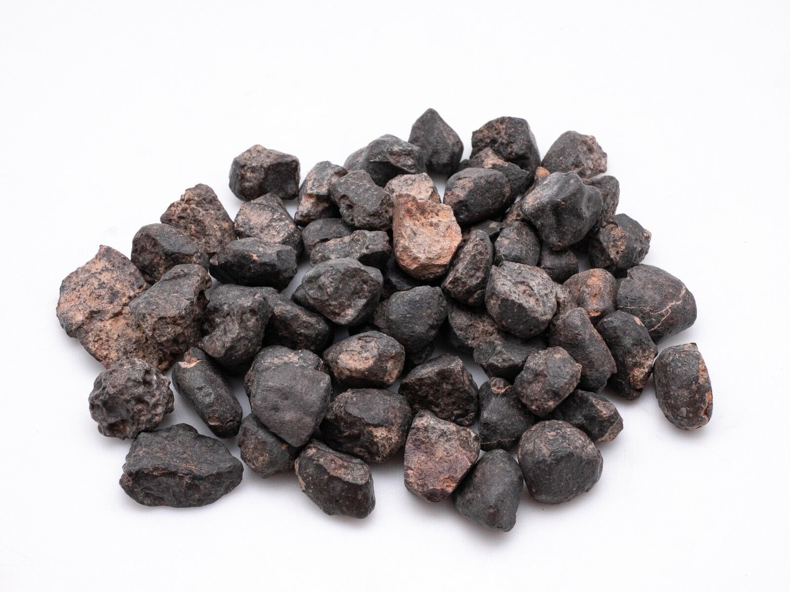 Authentic Stone Meteorite: Northwest Africa 869, 5-10 grams